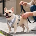 thumbnail image 3 of Dog Tuxedo with Chest Strap and Leash, Pet Suit Set for Small Medium Dog Formal Occasion Dress Up Festival Party Photo Prop Gray XL, 3 of 4