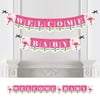 Flamingo - Party Like a Pineapple - Baby Shower Bunting Banner - Pink Party Decorations - Welcome Baby