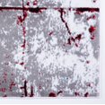 thumbnail image 3 of Ladole Rugs Beautiful Tulips Pattern Polypropylene Indoor Area Rug Carpet in Grey Red, 4x6 (3'11" x 5'7", 120cm x 170cm), 3 of 6