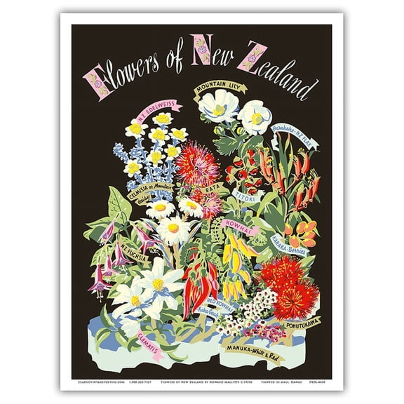 Flowers of New Zealand - Vintage Travel Poster by Howard Mallitte c.1950s - Master Art Print (Unframed) 9in x 12in
