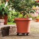 thumbnail image 4 of Maceta, Soporte Para Planta, Soporte Redondo Para Flor, Soporte Para Maceta Para Balcón, Jardín, Exterior, Hogar, Patio seitruly HA042510-01, 4 of 6