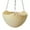 Cream Coloured, variant on Travelwant Self-Watering Hanging Planter Basket - Indoor Outdoor Flower Pots, Garden Planters and Pots, Plant Containers with Drainage Hole and Hanging Chain, Plant Pot for Hanging Plants