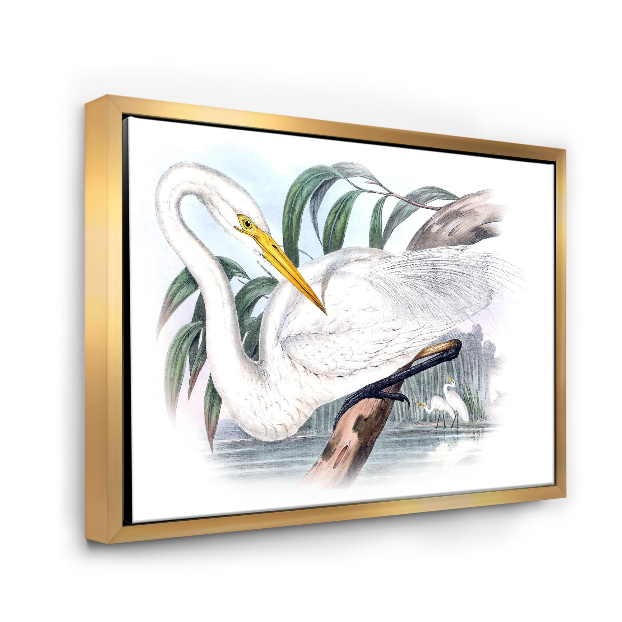 Designart 'Ancient Australian Birds IV' Traditional Framed Canvas Wall Art Print