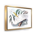 thumbnail image 3 of Designart 'Ancient Australian Birds IV' Traditional Framed Canvas Wall Art Print, 3 of 5
