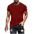 thumbnail image 1 of ameIAEA Mens Causal T Shirts Short Sleeve Crewneck Classic Shirts Solid Color Basic Tee Tops, 1 of 6