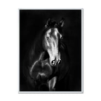 Designart 'Close Up Portrait Of Black Kladruby Horse' Farmhouse Framed Canvas Wall Art Print
