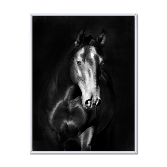 Designart 'Close Up Portrait Of Black Kladruby Horse' Farmhouse Framed Canvas Wall Art Print