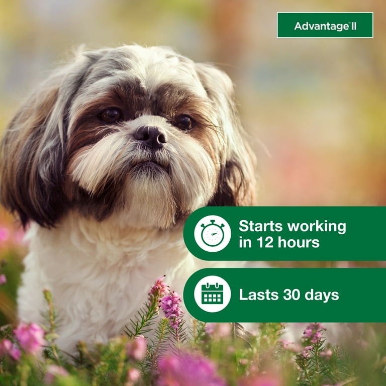 Advantage II Vet Recommended Flea Prevention for Small Dogs 3 10 lbs 6 Monthly Treatments Walmart