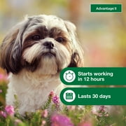 Advantage II Vet-Recommended Flea Prevention for Small Dogs 3-10 lbs, 6-Monthly Treatments