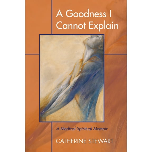 A Goodness I Cannot Explain (Paperback)