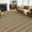 Brown tone, variant on EastVita Area Rugs Carpets 1150Gsm 350Gsm Velvet Pearl Velvet Washed Back Folding Simulation Printed Carpet-Modern-Weaving Life Beige color 8*10ft
