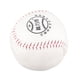 thumbnail image 3 of Pelotas de Béisbol, Práctica de Relleno Suave de Pvc Softbol Pelotas de Béisbol Suaves Práctica de Examen de Pelotas de Softbol Herramiente de Práctica para Práctica de Bateo, 3 of 7