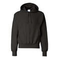 thumbnail image 1 of Champion Noir 1761 2TG, 1 of 1