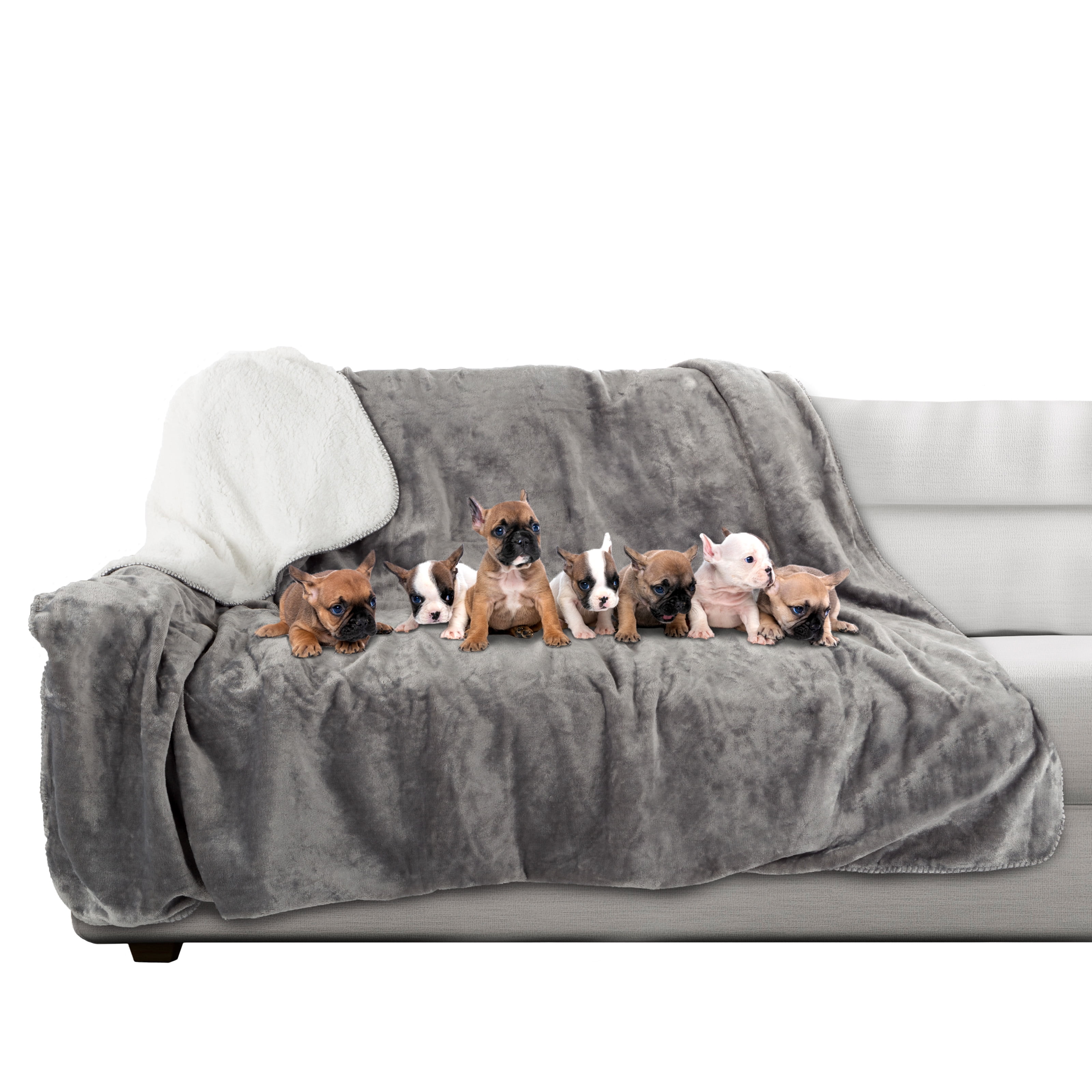 【VAULTROOM】DOG & DUCK BLANKET 624e360c9b1a66bb372f6976-149-