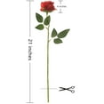 thumbnail image 3 of 12 pcs Artificial Roses Flowers Long Stem Fake Silk Rose for Home Wendding Decorations, 3 of 6
