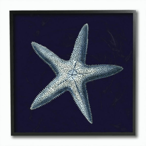 Stupell IndustriesDistressed Navy and White StarfishFramed Wall Art by World Art Group