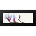 thumbnail image 2 of Andrew, Stephanie 24x11 Black Modern Framed Museum Art Print Titled - Magnolia solitaire, 2 of 5