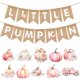 thumbnail image 1 of Baby Shower de Banner VitalCozy con forma de calabaza rosa otoñal, 1 of 6