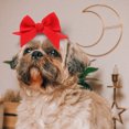 thumbnail image 4 of IDEANATEGRATE Para Perros En Color Para Decoraciones De Fiesta Y Accesorios, 4 of 6