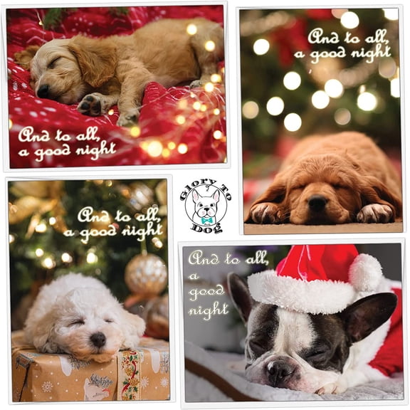 And to All A Good Night Variety Christmas Greeting Card Boxed Set of 12 Cards (3 each of 4 designs) and Envelopes