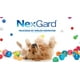 thumbnail image 2 of Desparasitante Nexgard Spectra 15-30kg Pack 4pz Para Perros Boehringer Ingelheim nexgard, 2 of 4
