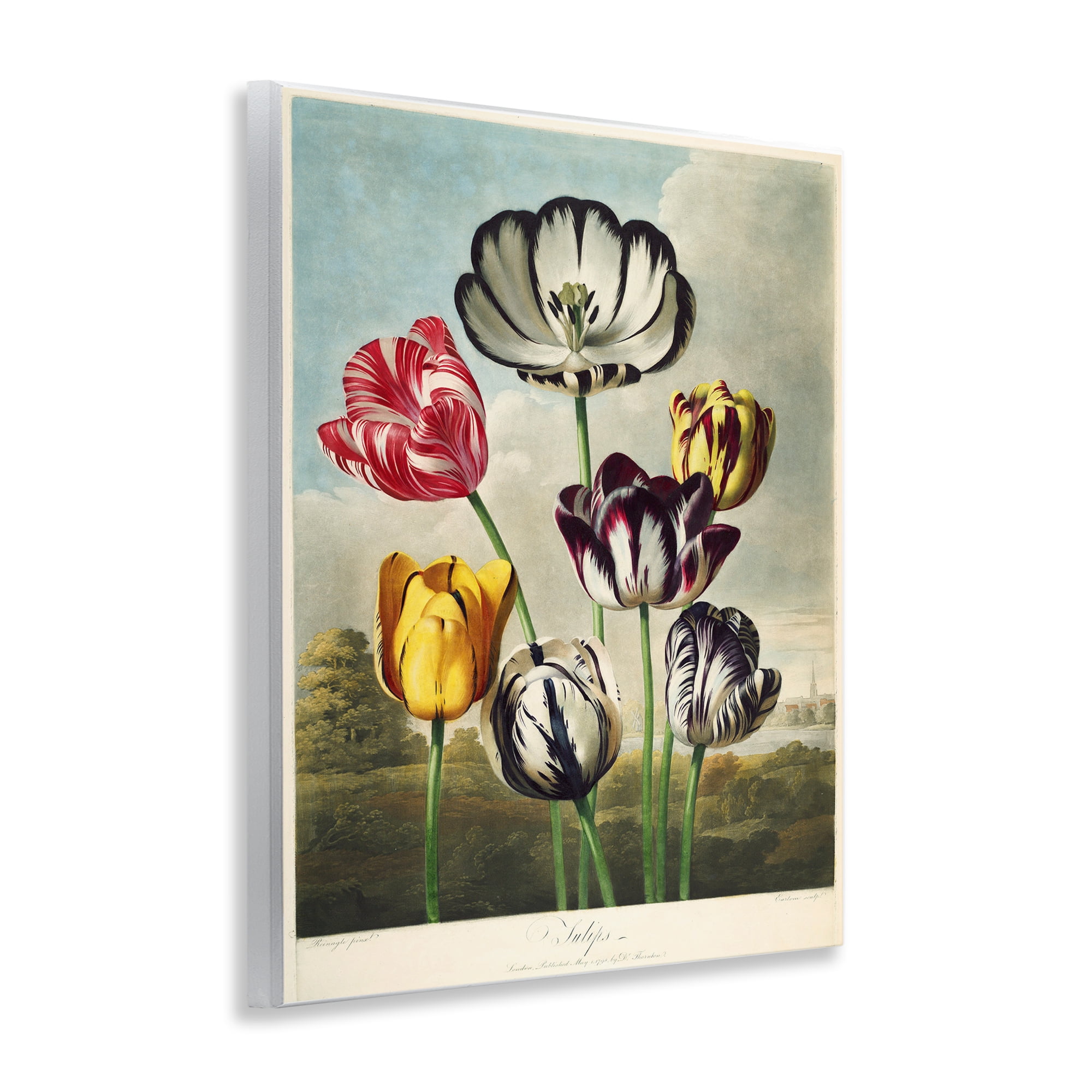 Stupell Industries Tulips From The Temple Wall Plaque Art, design by Print Collection