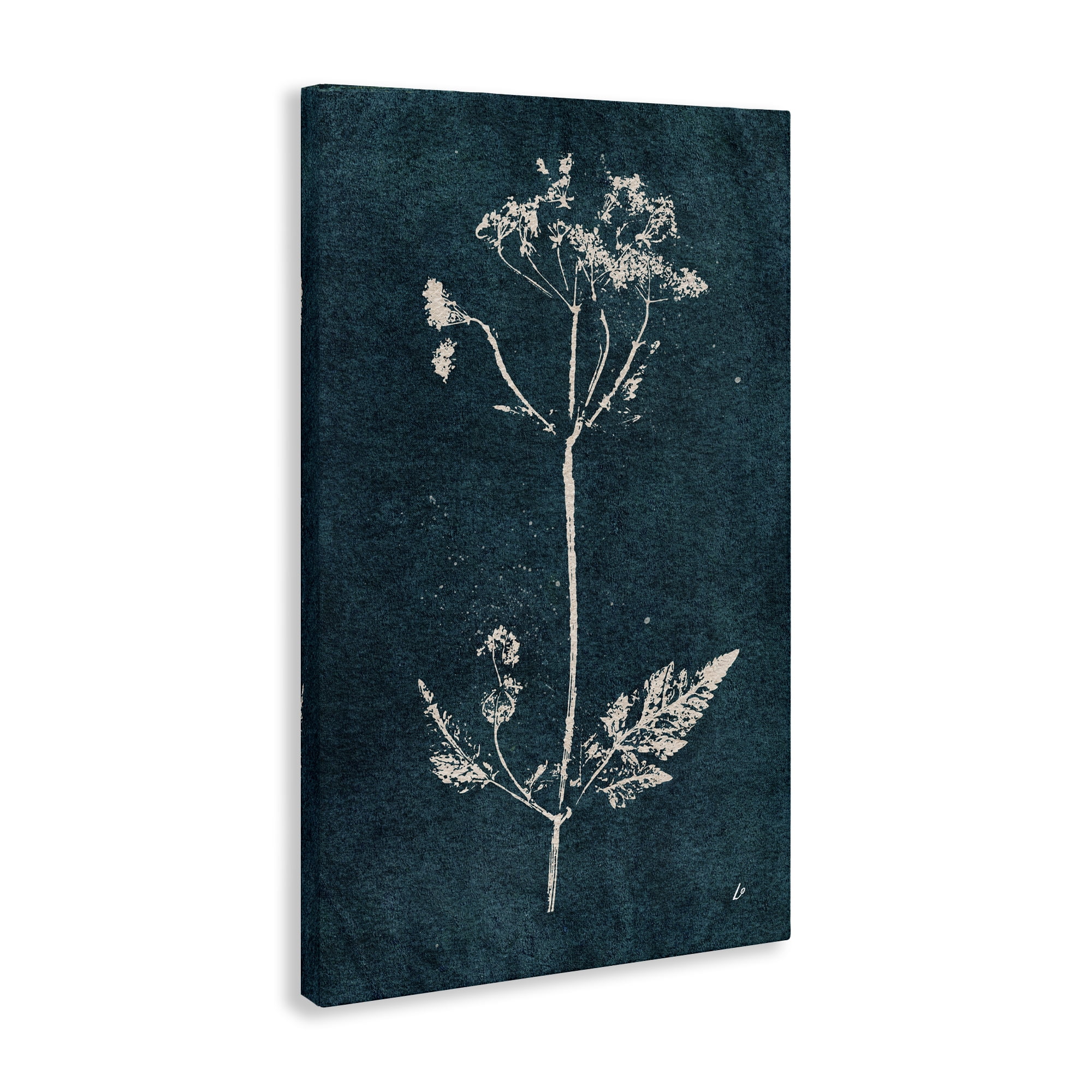 Stupell Industries Cow Parsley Stem Plants & Flowers Painting Wrapped Canvas Art Print Wall Art, 20 x 30