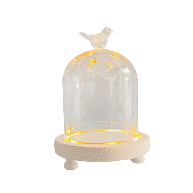 Cloche Dome Cloche de vidrio transparente 9x11cm Macarena