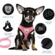 thumbnail image 5 of Arnés de verano para perros y gatos, correa ajustable, malla de poliéster, transpirable, reflectante, para perros pequeños y gatos, 5 of 5
