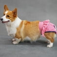 thumbnail image 3 of Dog Menstrual Pants – Breathable Stripe Pattern Female Dog Diaper, Prevents Soiling and Harassment, 3 of 8