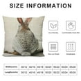 thumbnail image 5 of Grey Rabbit Pillowcase Cute Wild Animal Rabbit Bunny Easter Zippered Pillow Cover Decorative Throw Pillow Cover  Throw Pillow Cushion Cover for Home Couch Bed, 5 of 5