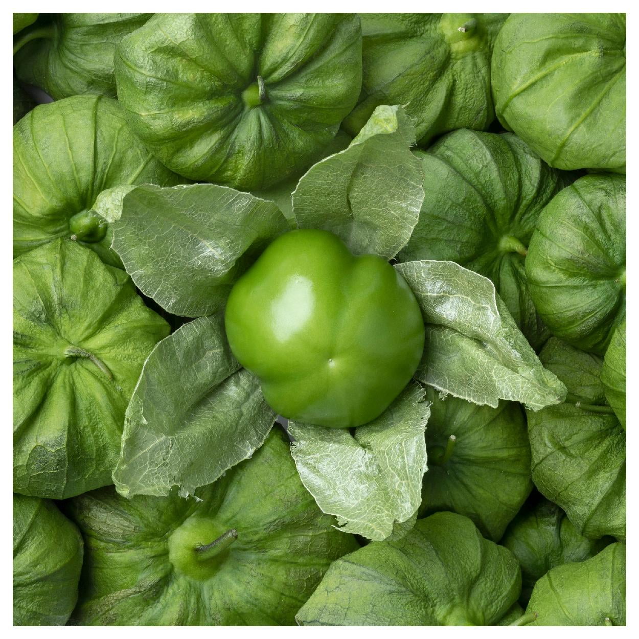 Everwilde Farms 1 oz Organic Green Tomatillo Tomatillo Seeds Gold