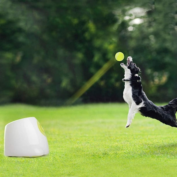 Automatic frisbee launcher 2025