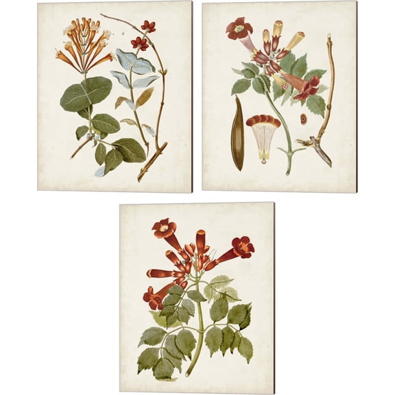 Great Art Now Vintage Flowering Trees by Unknown 3 Piece Canvas Art Set Each 12"W x 15"H