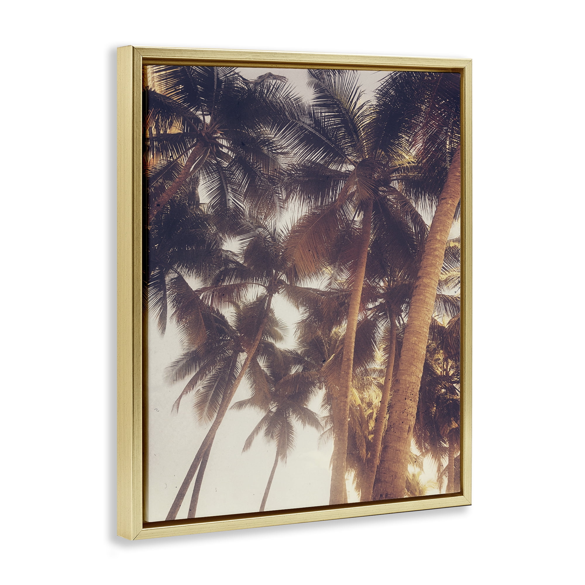 Stupell Industries Sunlit Palm Tree Plants & Flowers Photography Gold Floater Framed Canvas Art Print Wall Art, 17 x 21
