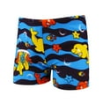 thumbnail image 1 of Swim Trunks Swim Trunks Boys Plus Size Kids Spa Bathing Suit Clothes, 1 of 6