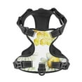 thumbnail image 4 of Junzan Sweet Honey Pattern Dog Harness - Lightweight,Soft,Adjustable Small Harness And Leash Set-Medium, 4 of 9