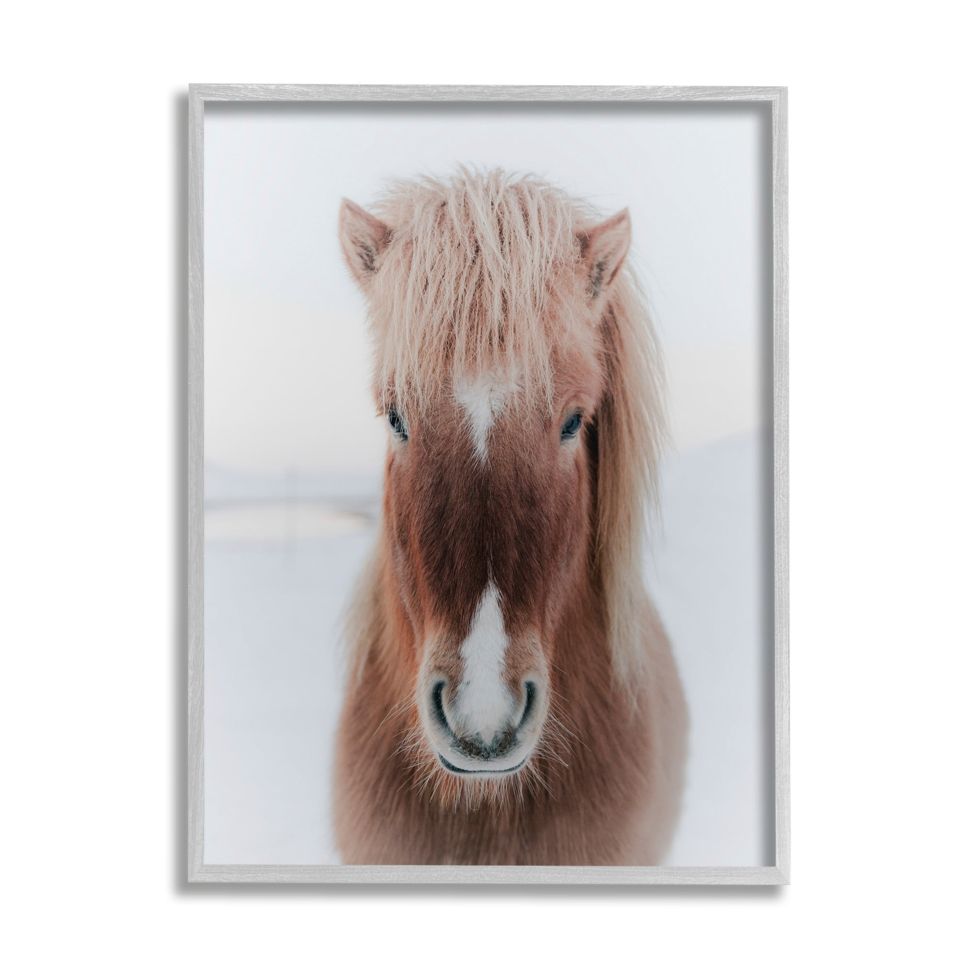 Stupell Industries Majestic Closeup Brown Horse White Winter Landscape Framed Wall Art, 24 x 30, Design by Amy Brinkman