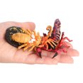thumbnail image 1 of 1 Set Life Cycle Toy Household Simple Simulation Model Educational Toys Exquisite Interesting Scorpion Models for Home School Black Red, 1 of 9