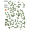 thumbnail image 3 of WallPops! Eucalyptus Wall Decals Art Kit, 3 of 3