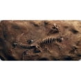 thumbnail image 1 of Dinosaure Fossile Photo License Plaque, 1 of 1