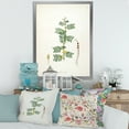 thumbnail image 3 of Designart 'Ancient Blossoming Flower III' Farmhouse Framed Art Print, 3 of 4
