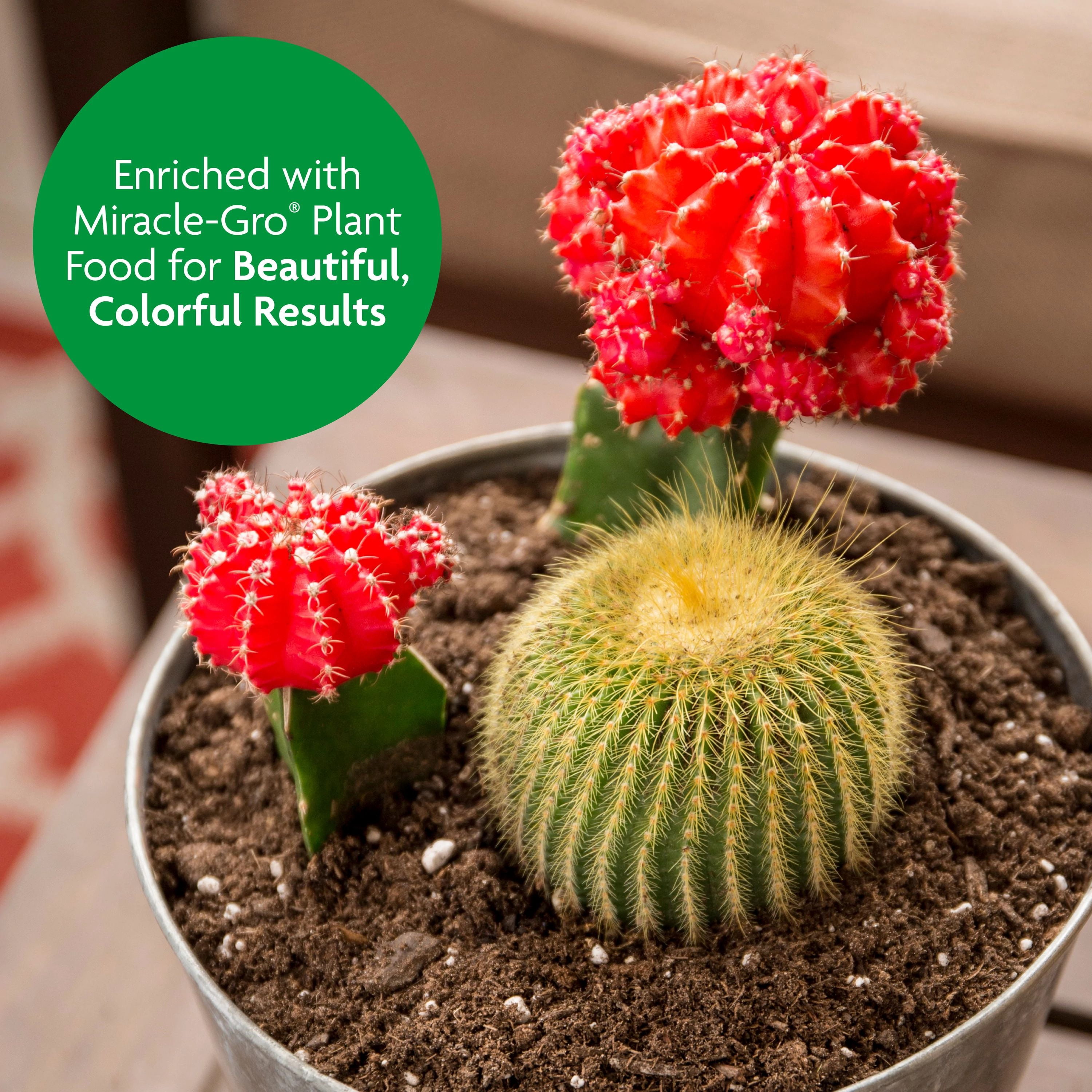 Miracle-Gro Cactus, Palm and Citrus Potting Mix, For Potted Plants, 8 qt., 2-Pack