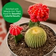 thumbnail image 5 of Miracle-Gro Cactus, Palm and Citrus Potting Mix, For Potted Plants, 8 qt., 2-Pack, 5 of 11