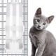 thumbnail image 3 of Dispensador De Agua Para Perros Tazón De Agua Para Perros Comedero Para Perros Bebedero Automático Para Perros Tazón De Agua Automático Para Perros Y Gatos ANGGREK AC8409, 3 of 8