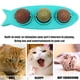 thumbnail image 4 of Juguetes de bolas de menta para gatos juguetes comestibles para gatos bolas de masticación giratorias 3 en 1 (azul) JShteea  Libre de BPA, 4 of 8