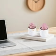 thumbnail image 7 of Mini Artificial Succulent Plants Set of 2, Pink Faux Potted Desk Decor for Women, Small Fake Plants for Home Office, White Elephant Gifts for Adults white elephant gifts under 10 dollars, 7 of 7