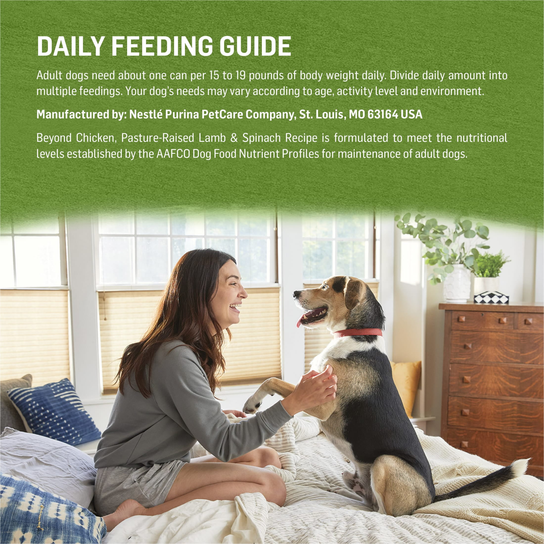 Purina Beyond Immune Health Wet Dog Food Real Soft Chicken, Lamb & Spinach, 13 oz Can