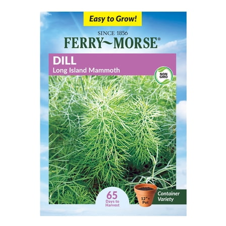Ferry-Morse 920MG Dill Mammoth Annual Herb Seeds, Full Sun
