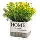 thumbnail image 1 of Topiarios, plantas y flores artificiales, mini plantas, maceta., 1 of 6